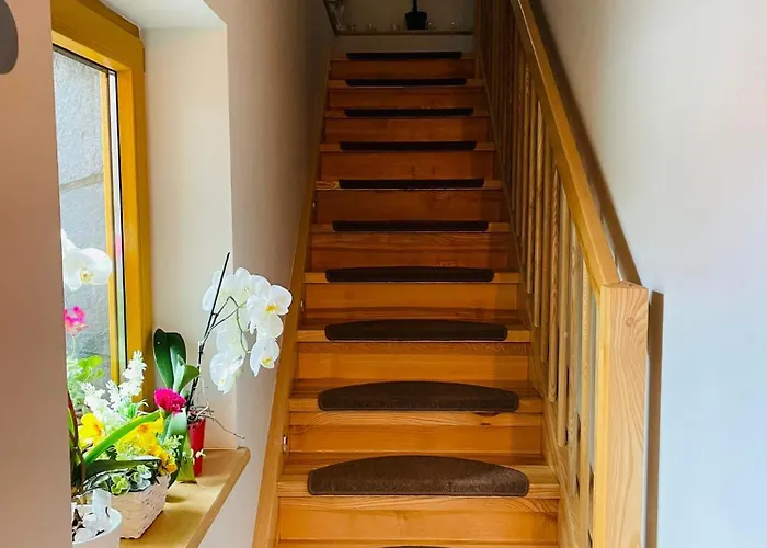 Mnich Διαμέρισμα